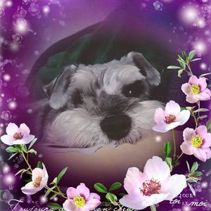 Meet your Posher, Marisol